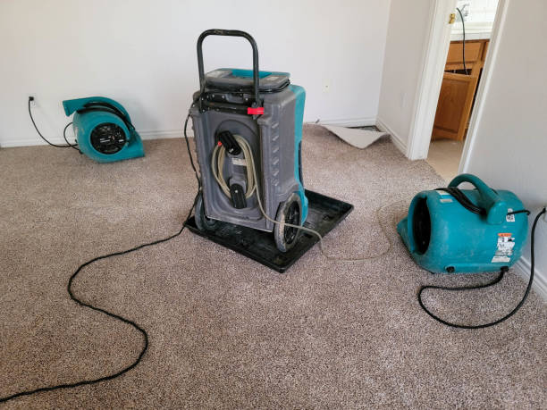 Best Residential water damage restoration  in American Falls, ID