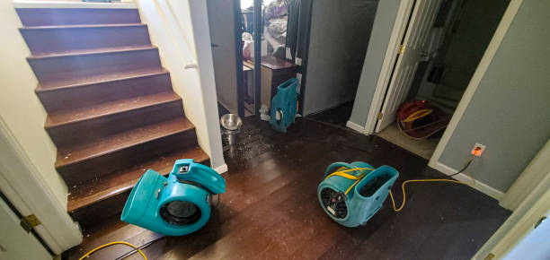Best Sewage cleanup and water damage restoration  in American Falls, ID