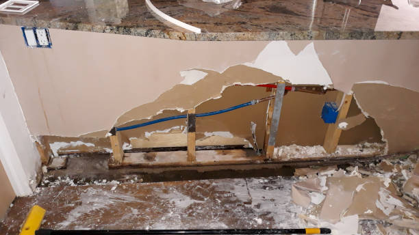 Best Mold removal after water damage  in American Falls, ID