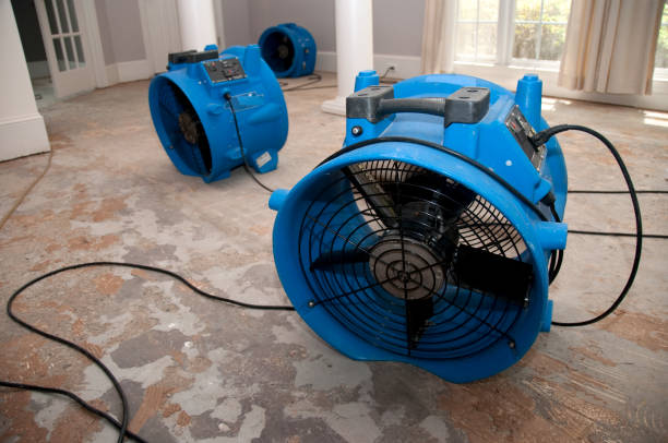 Best Flooded house restoration  in American Falls, ID