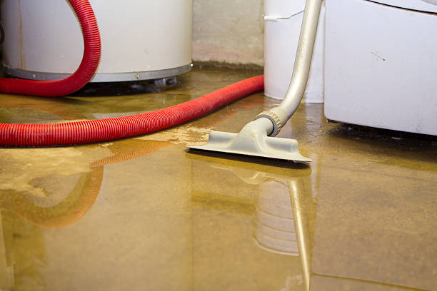 Best Commercial water damage restoration  in American Falls, ID