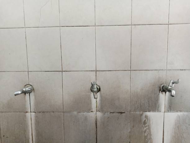 Best Flood damage cleanup  in American Falls, ID