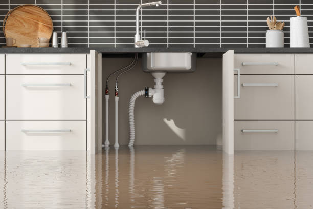 Best Flood restoration services  in American Falls, ID