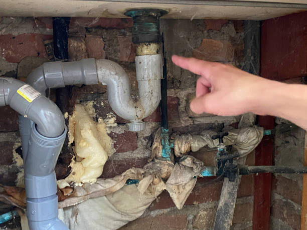 Best Professional water damage repair  in American Falls, ID