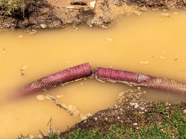 Carpet water damage restoration in ID