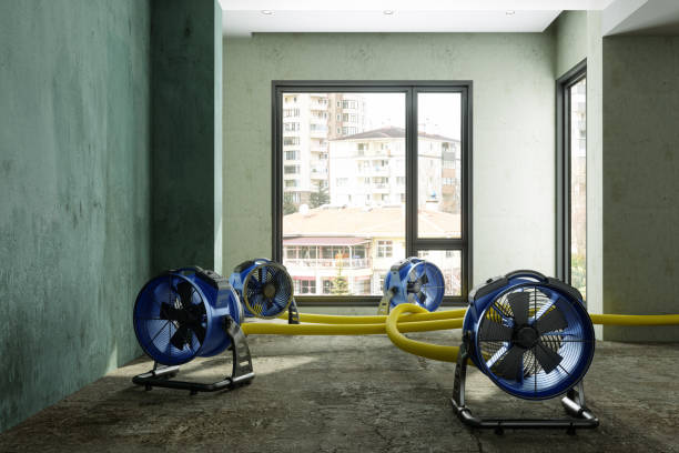 Sewage cleanup and water damage restoration in ID