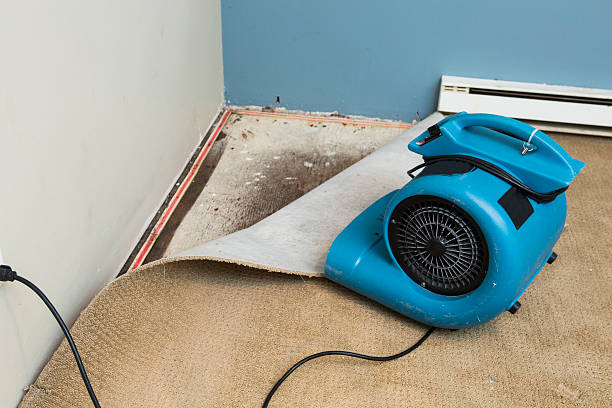 Best Carpet water damage restoration  in American Falls, ID